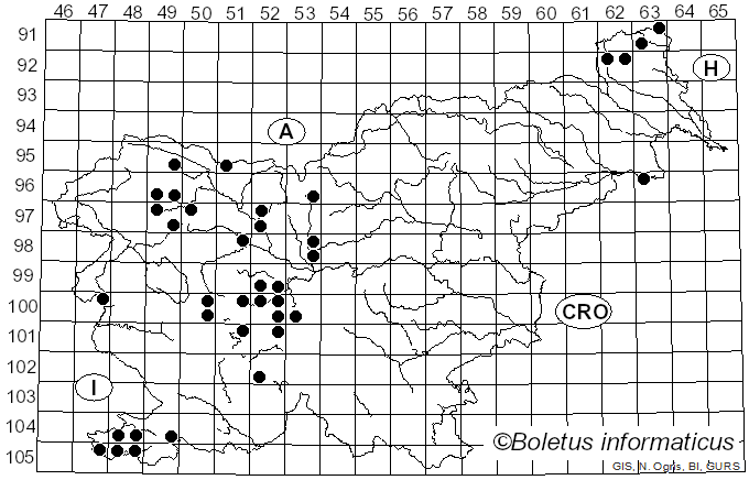 <i>Melanostoma</i> Schiner (1860)