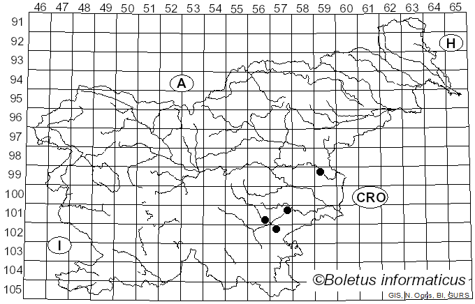 <i>Cortinarius subargentatus</i> P.D. Orton (1960)