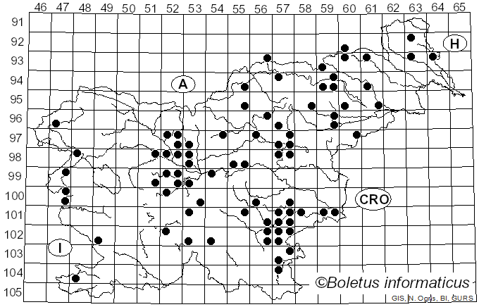<i>Xerocomus rubellus</i> Quél. (1896)