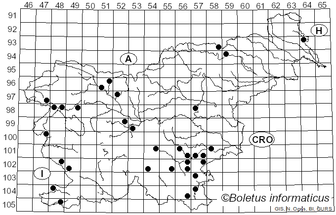 <i>Russula amarissima</i> Romagn. (1943)