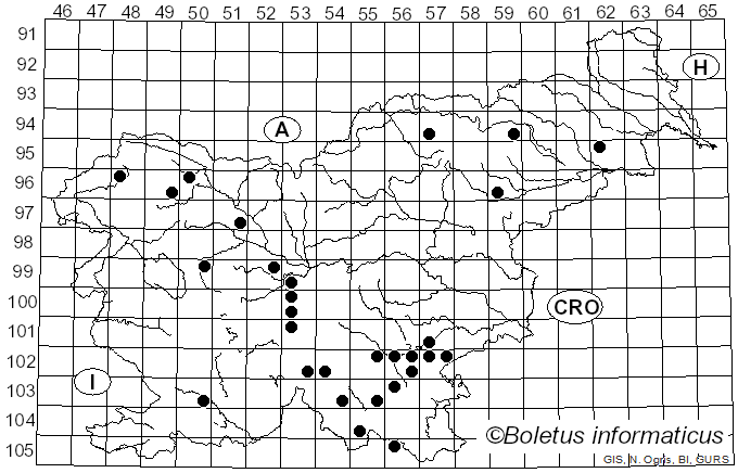 <i>Pycnoporellus fulgens</i> (Fr.) Donk (1971)