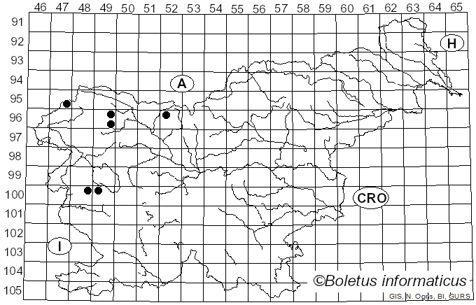 <i>Rhodophana nitellina</i> (Fr.) Papetti (2014)