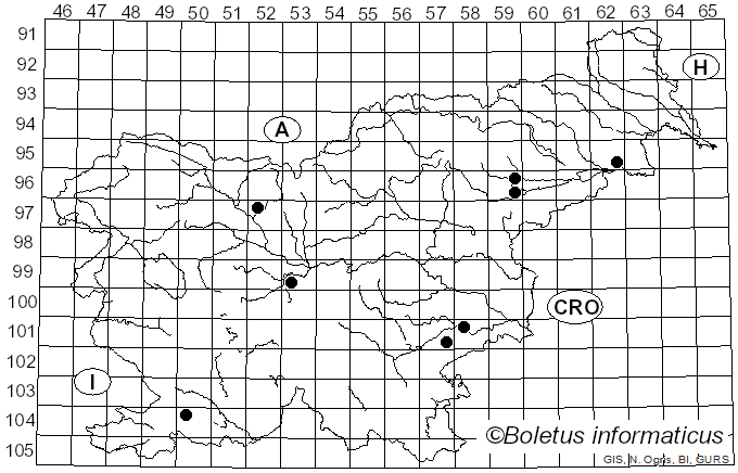 <i>Pleurotus calyptratus</i> (Lindblad) Sacc. (1887)