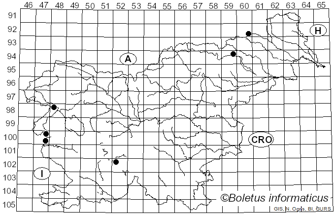 <i>Peniophora polygonia</i> (Pers.) Bourdot & Galzin (1928)