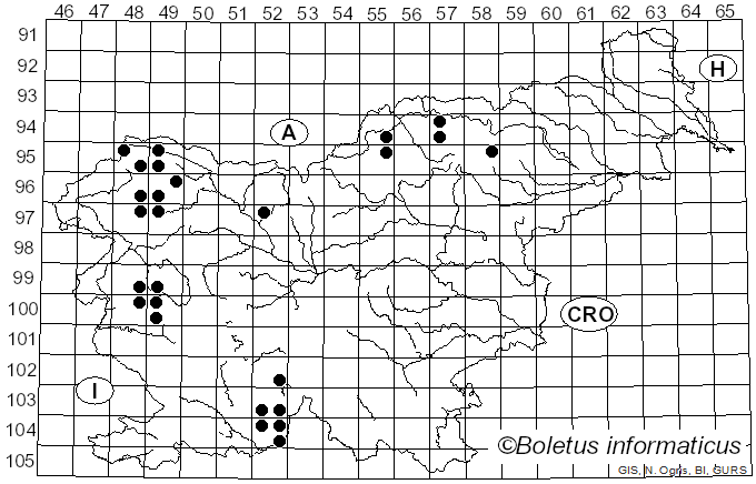 <i>Mycoblastus fucatus</i> (Stirt.) Zahlbr. (1926)