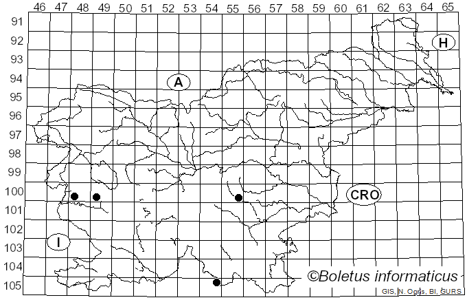 <i>Agrilus graminis</i>