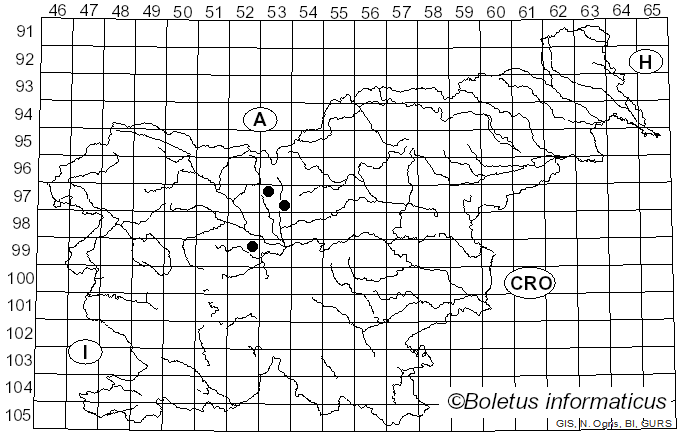 <i>Tromera resinae</i> (Nyl.) Körb. (1865)