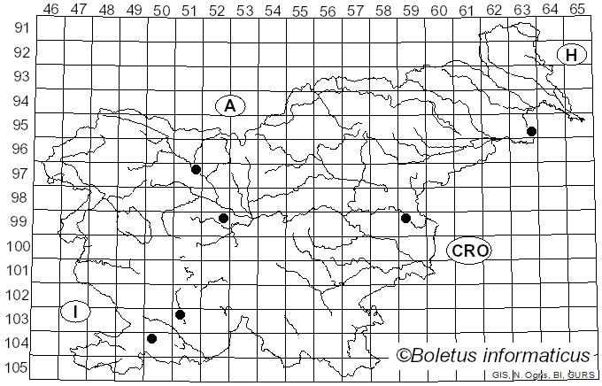 <i>Mucronella calva</i> (Alb. & Schwein.) Fr. (1874)