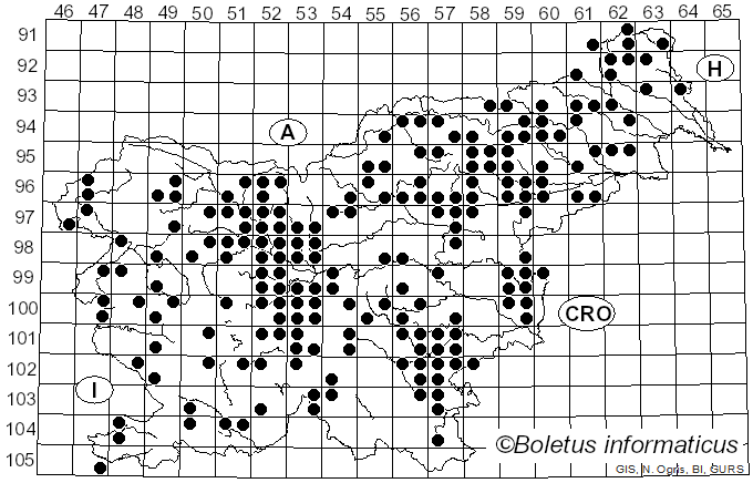<i>Armillaria ostoyae</i> (Romagn.) Herink (1973)