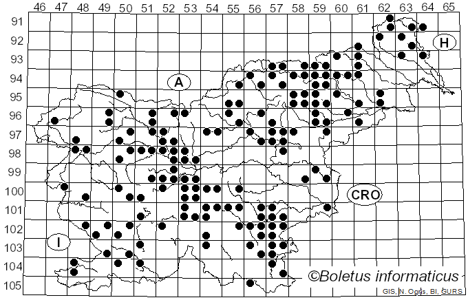 <i>Hygrophoropsis aurantiaca</i> (Wulfen) Maire (1921)