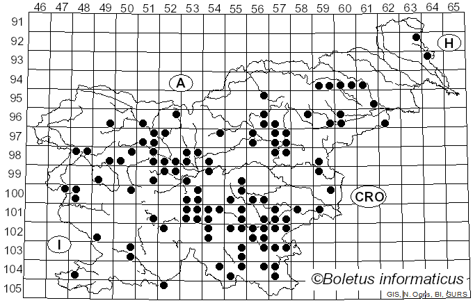 <i>Lactarius illyricus</i> Piltaver (1992)