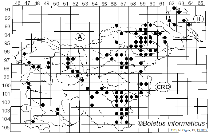 <i>Rheubarbariboletus armeniacus</i> (Quél.) Vizzini, Simonini & Gelardi (2015)