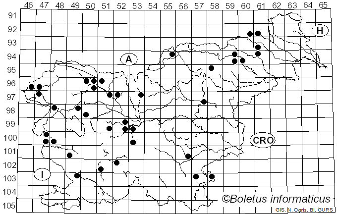 <i>Phylloporia ribis</i> (Schumach.) Ryvarden (1978)