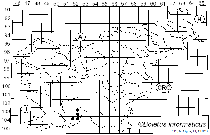 <i>Bacidia phacodes</i> Körb. (1860)