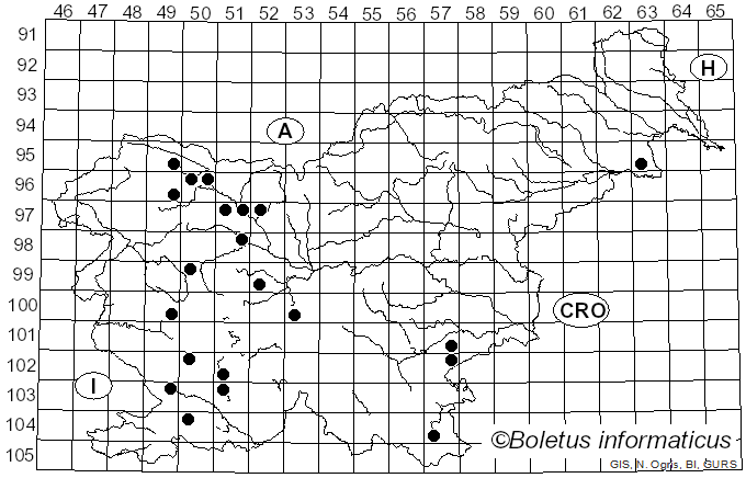 <i>Vuilleminia coryli</i> Boidin, Lanq. & Gilles (1989)