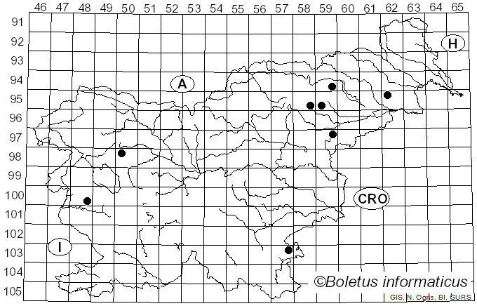 <i>Pyrrhulomyces astragalinus</i> (Fr.) E.J. Tian & Matheny (2020)