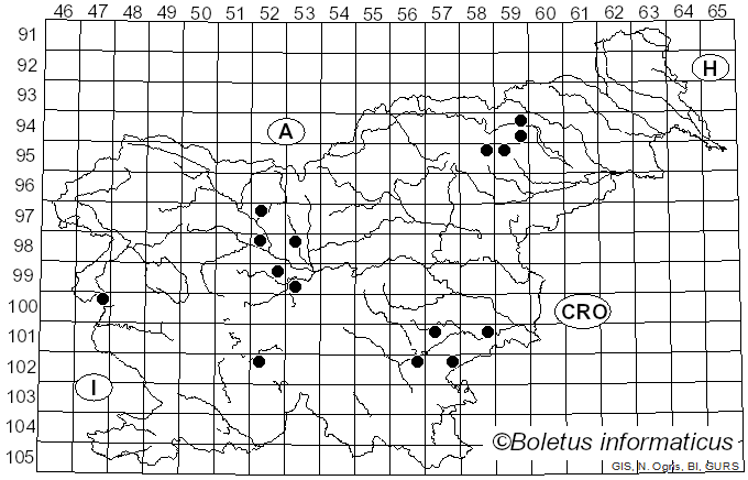 <i>Lactarius lilacinus</i> (Lasch) Fr. (1838)