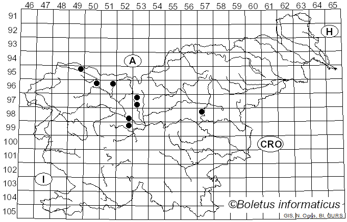 <i>Ramularia geranii</i> (Westend.) Fuckel (1870)
