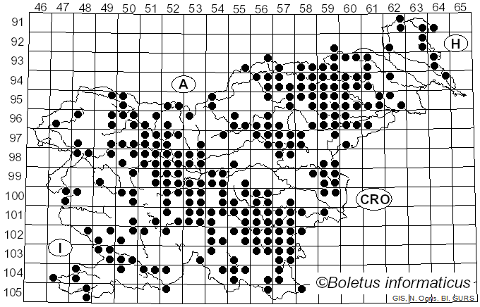 <i>Megacollybia</i> Kotl. & Pouzar (1972)