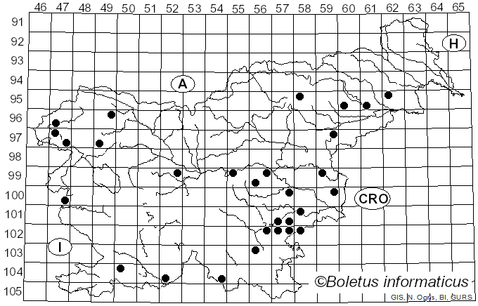 <i>Simocybe centunculus</i> (Fr.) P. Karst. (1879)