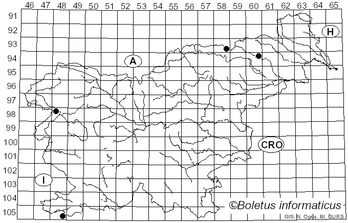 <i>Xylaria oxyacanthae</i> Tul. & C. Tul. (1863)