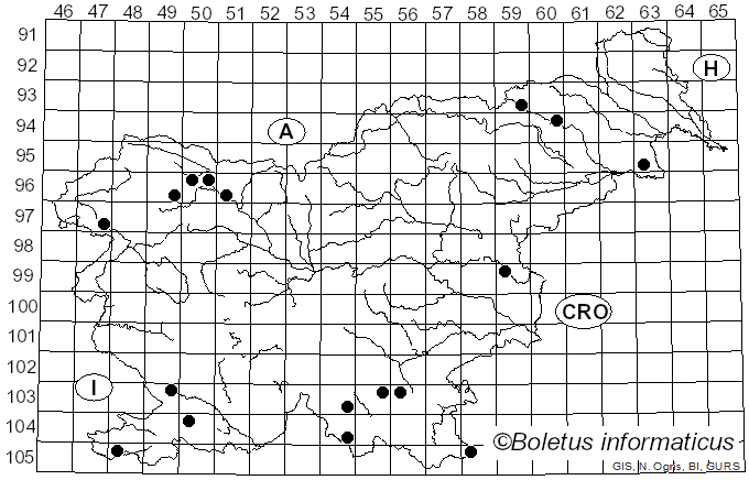 <i>Trechispora</i> P. Karst. (1890)
