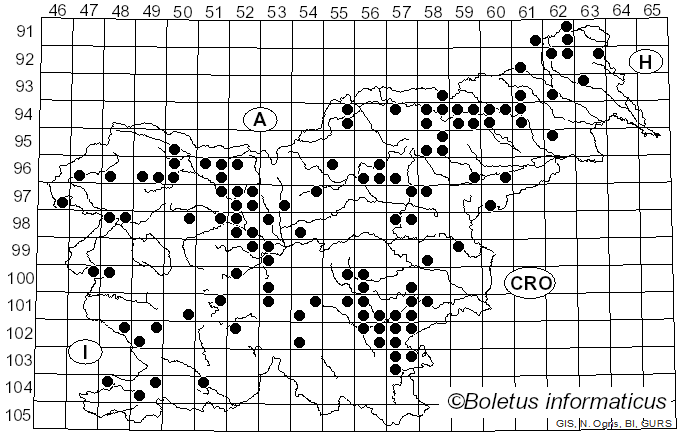 <i>Otidea</i> (Pers.) Bonord. (1851)