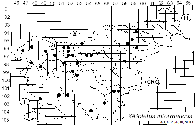 <i>Geastrum quadrifidum</i> DC. (1801)