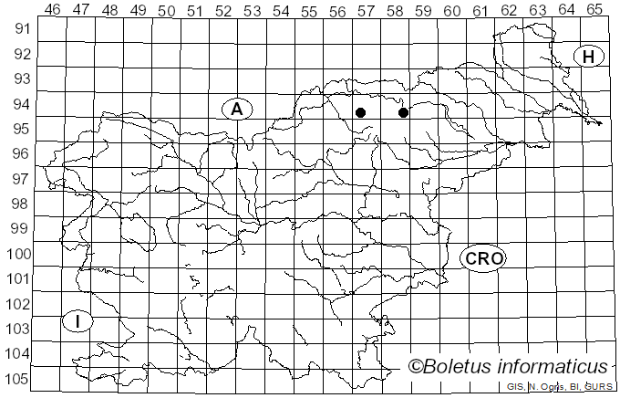 <i>Vouauxiella lichenicola</i> (Linds.) Petr. & Syd. (1927)