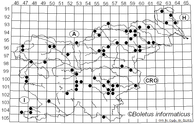 <i>Inonotus hispidus</i> (Bull.) P. Karst. (1879)