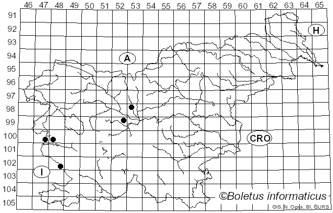 <i>Arcyria incarnata</i> (Pers.) Pers. (1796)