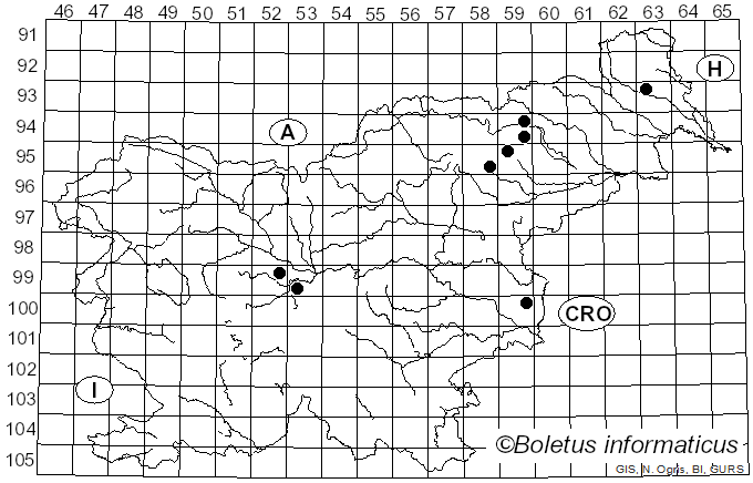 <i>Cortinarius claricolor</i> var. <i>immissus</i> (Schläpf.-Bernh.) Nezdojm. (1983)