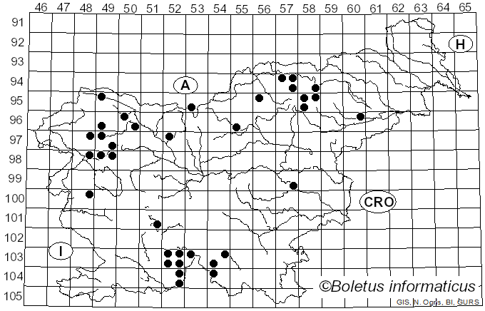 <i>Acrocordia gemmata</i> (Ach.) A. Massal. (1854)