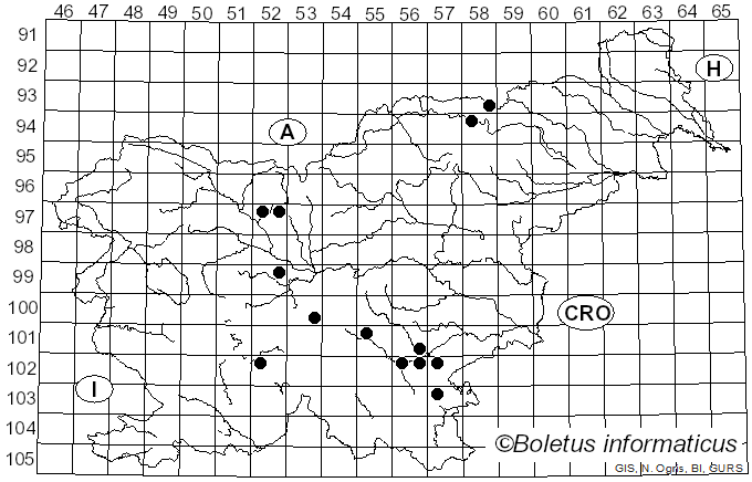 <i>Cortinarius cagei</i> Melot (1990)