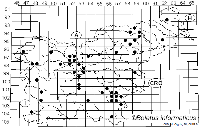 <i>Onnia tomentosa</i> (Fr.) P. Karst. (1889)