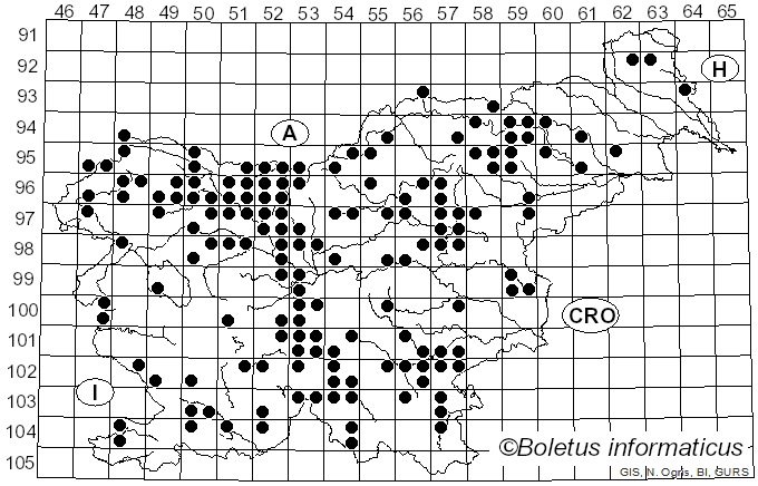 <i>Guepinia helvelloides</i> (DC.) Fr. (1828)