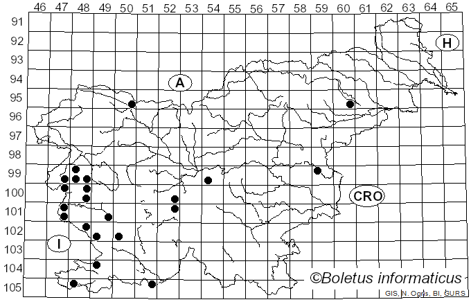 <i>Cenangium ferruginosum</i> Fr. (1818)