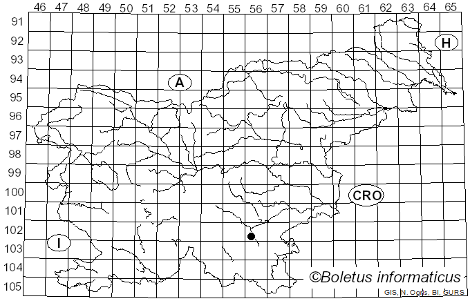 <i>Enchnoa infernalis</i> (Kunze) Fuckel (1871)
