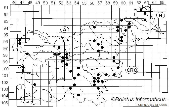 <i>Russula pectinatoides</i> Peck (1907)