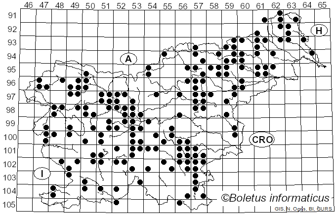 <i>Cortinarius violaceus</i> (L.) Gray (1821)