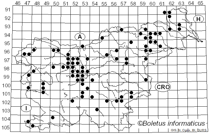 <i>Flammulina velutipes</i> (Curtis) Singer (1951)