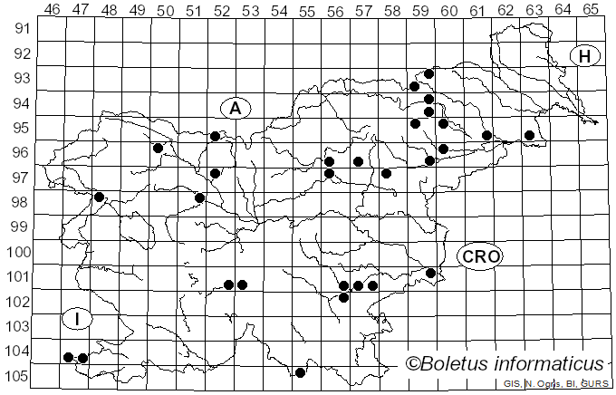 <i>Conocybe apala</i> (Fr.) Arnolds (2003)