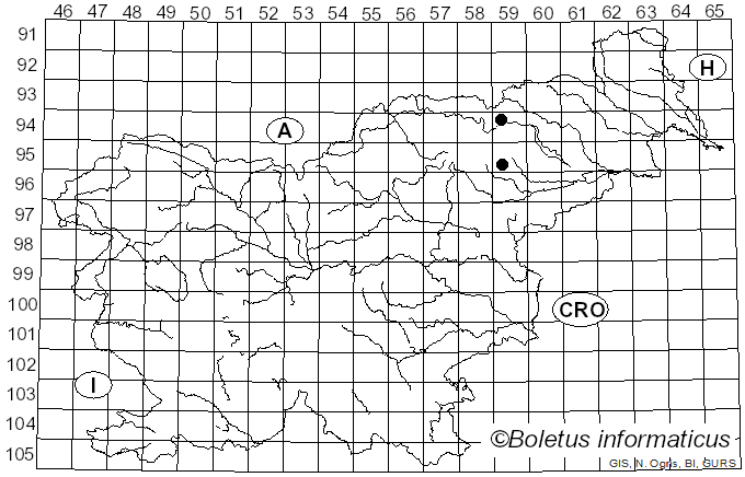 <i>Clitocybe nitriolens</i> J. Favre (1960)