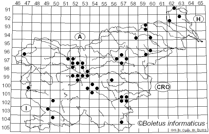 <i>Strobilurus tenacellus</i> (Pers.) Singer (1962)