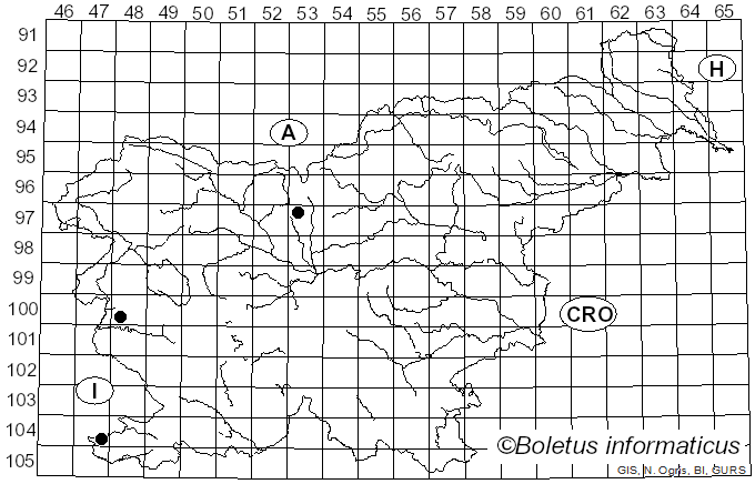 <i>Uromyces viciae-fabae</i> var. <i>orobi</i> (Schumach.) Jørst. (1936)