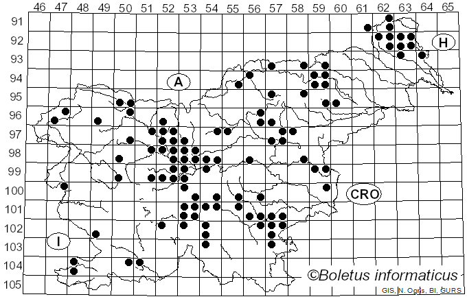 <i>Tricholoma equestre</i> (L.) P. Kumm. (1871)