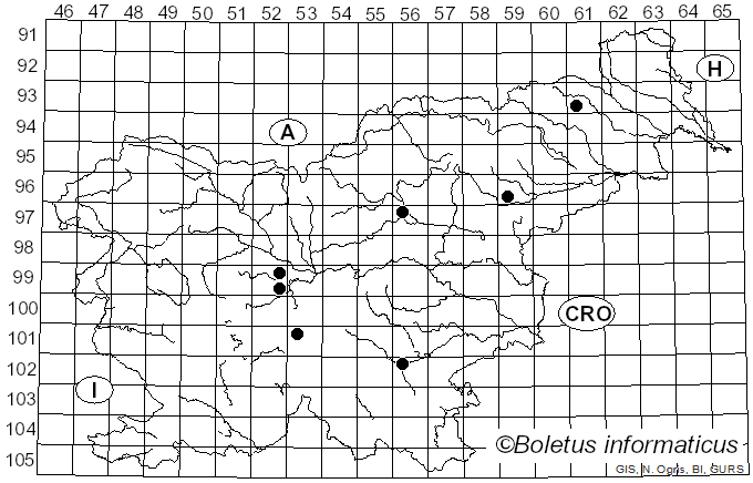 <i>Stigmella nylandriella</i> Tengström