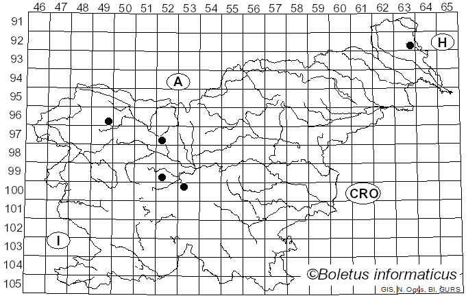 <i>Platycheirus clypeatus</i> Meigen