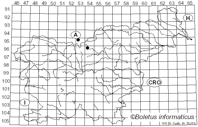 <i>Pipizella bispina</i> Simic