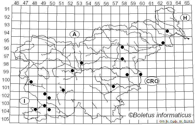 <i>Aceria macrorrhyncha</i> subsp. <i>cephalonea</i>